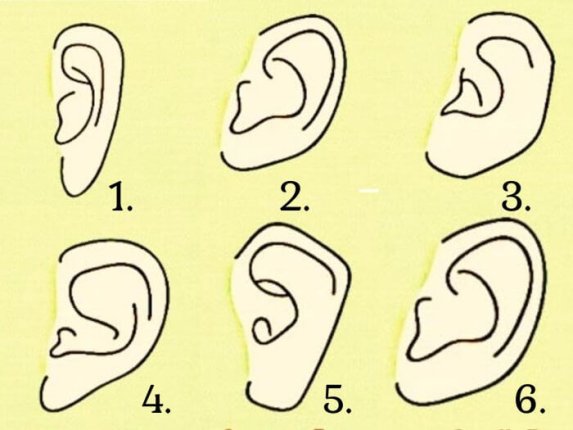 Neked milyen formájú a füled? Elárulja az igazat a személyiségedről