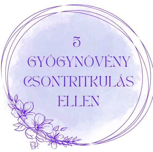 5 gyógynövény csontritkulás ellen