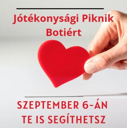 Jótékonysági Piknik Botiért - Szeptember 6-án te is segíthetsz